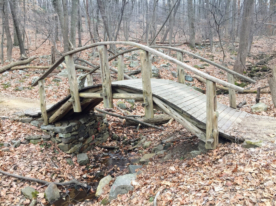 Lehigh Millennium Folk Arch and Art Enclave-伯利恒必去景点