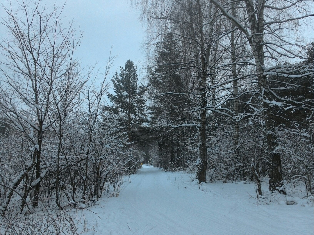 Strigino Ski Lodge景点图片