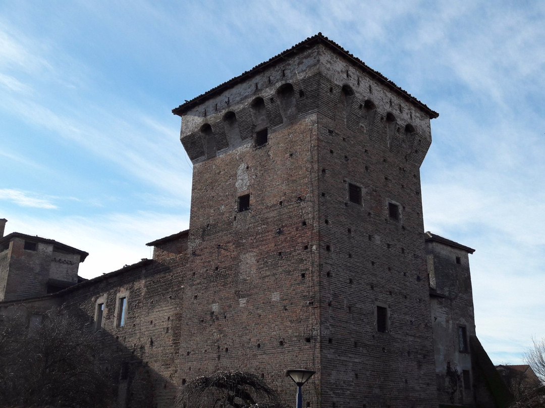 Castello Visconteo景点图片