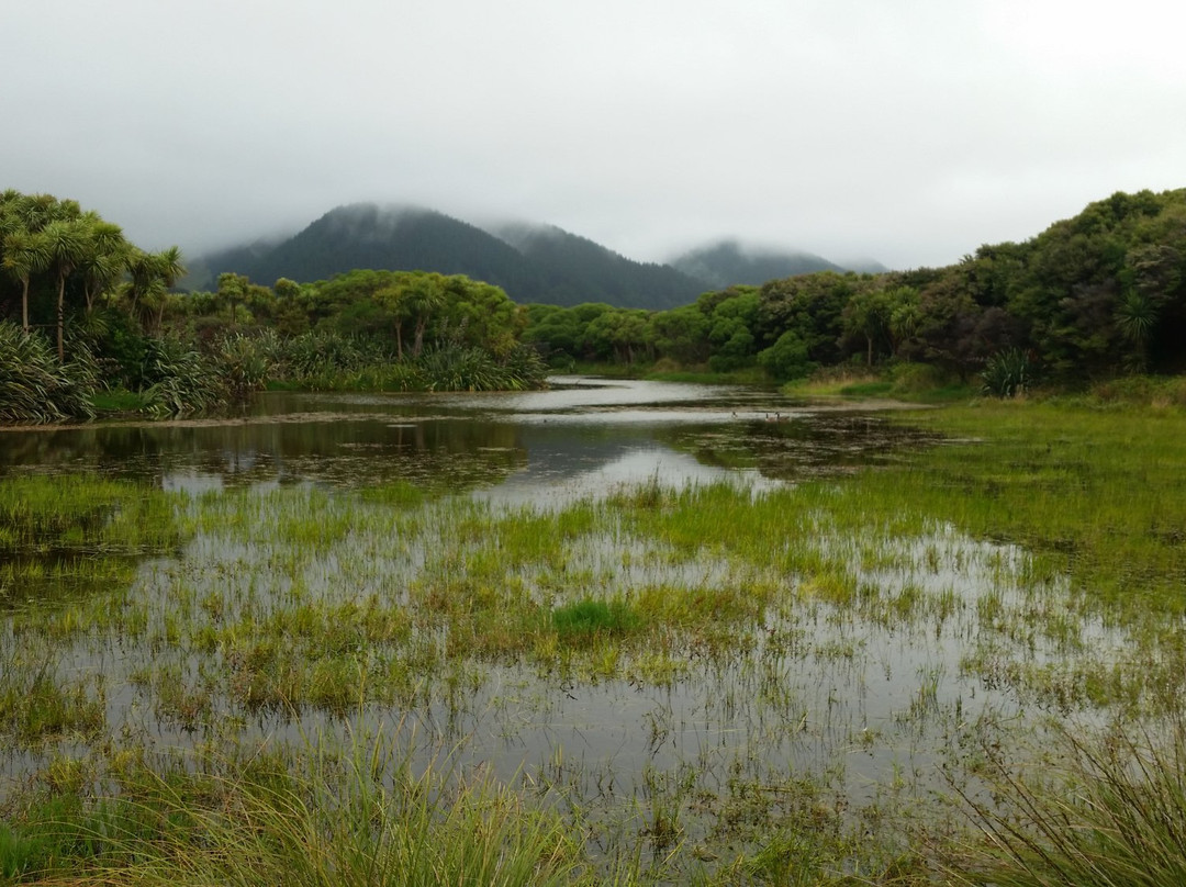 Paekakariki旅游攻略图片