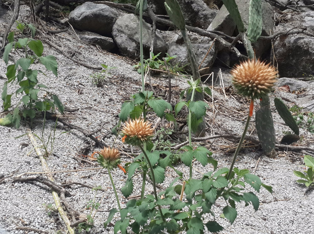 Toboganes de Songos-San Jeronimo de Surco必去景点