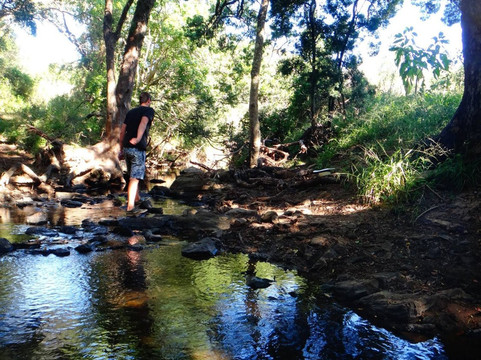 Lushington Valley Reserve-Bathurst必去景点