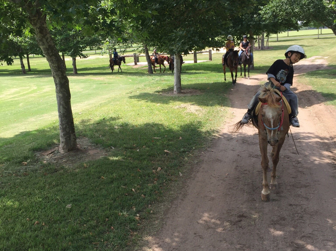 Sydney Trail Riding Centre景点图片