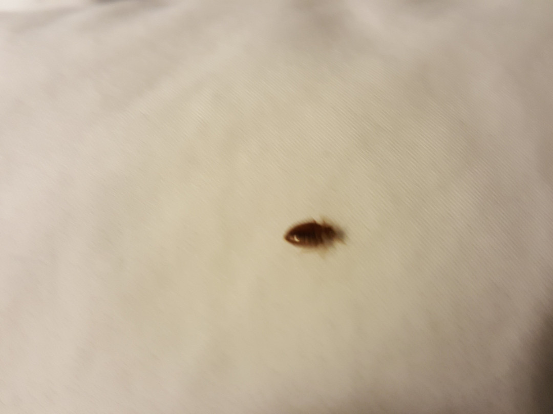 Texas Lodge Kenedy主图