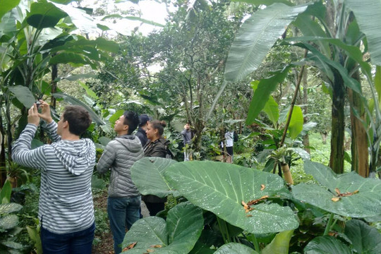 Bogotravel Tours-波哥大必去景点