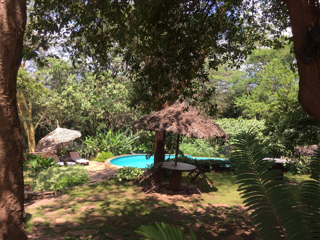 Kigongoni Lodge Arusha主图