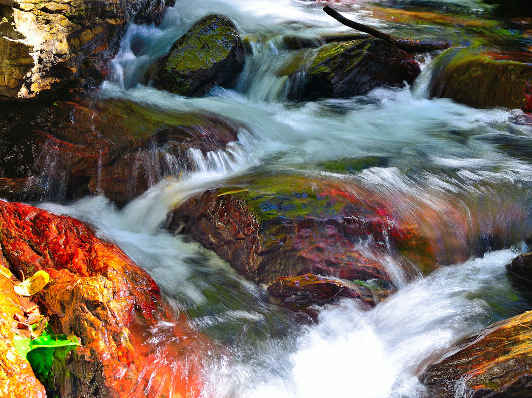 Stoney Creek Trail景点图片