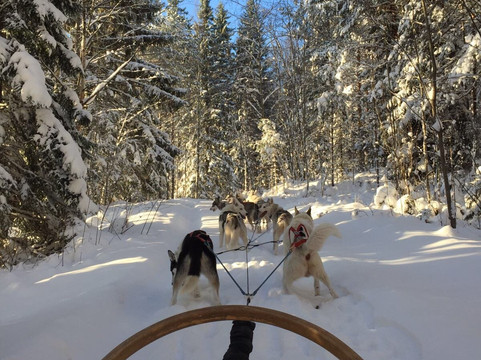 Kontiki Finland - Experiences in Finland-赫尔辛基必去景点