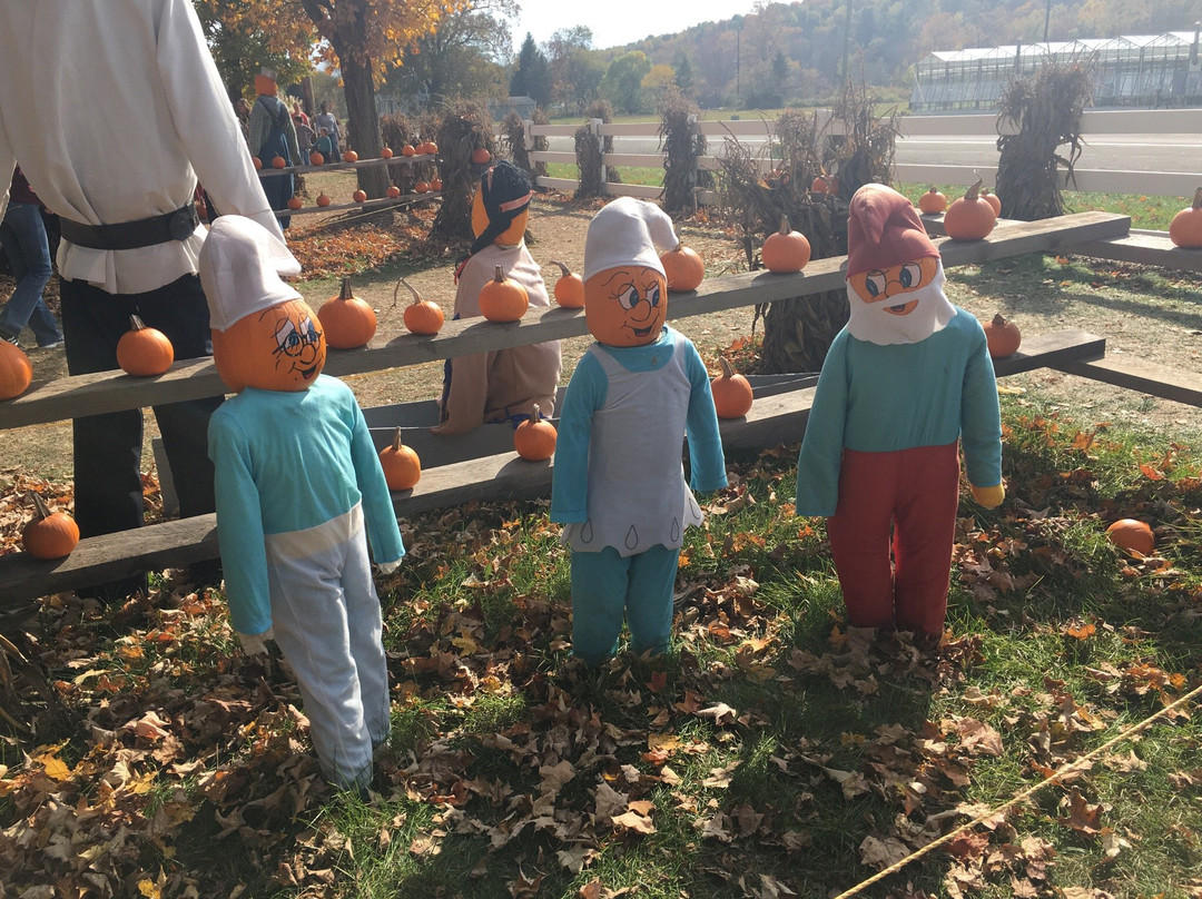 Iron Kettle Farm-Candor必去景点