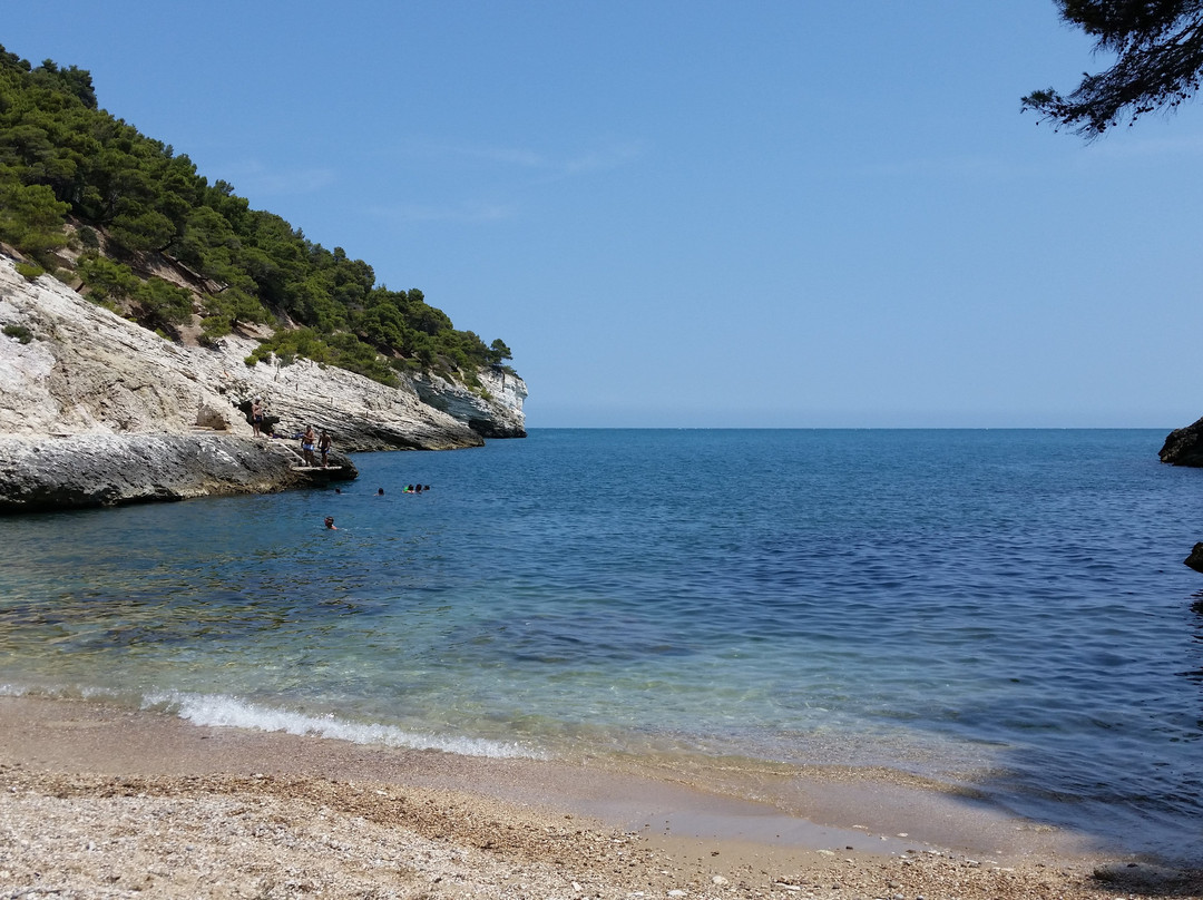 Cala della Pergola-维耶斯泰必去景点