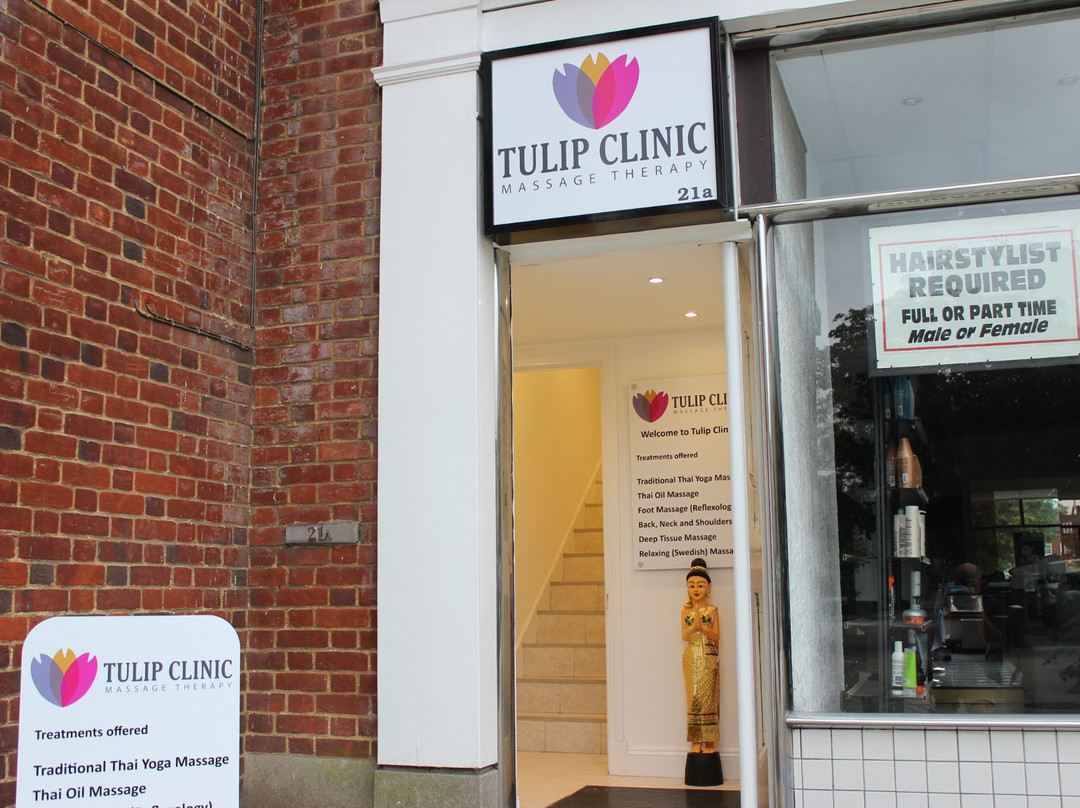 Tulip Clinic景点图片