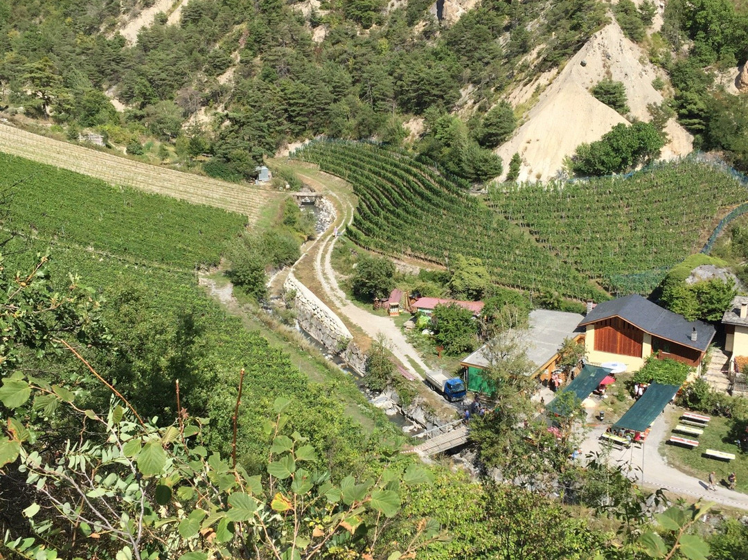 Vineyards Trail-谢尔必去景点