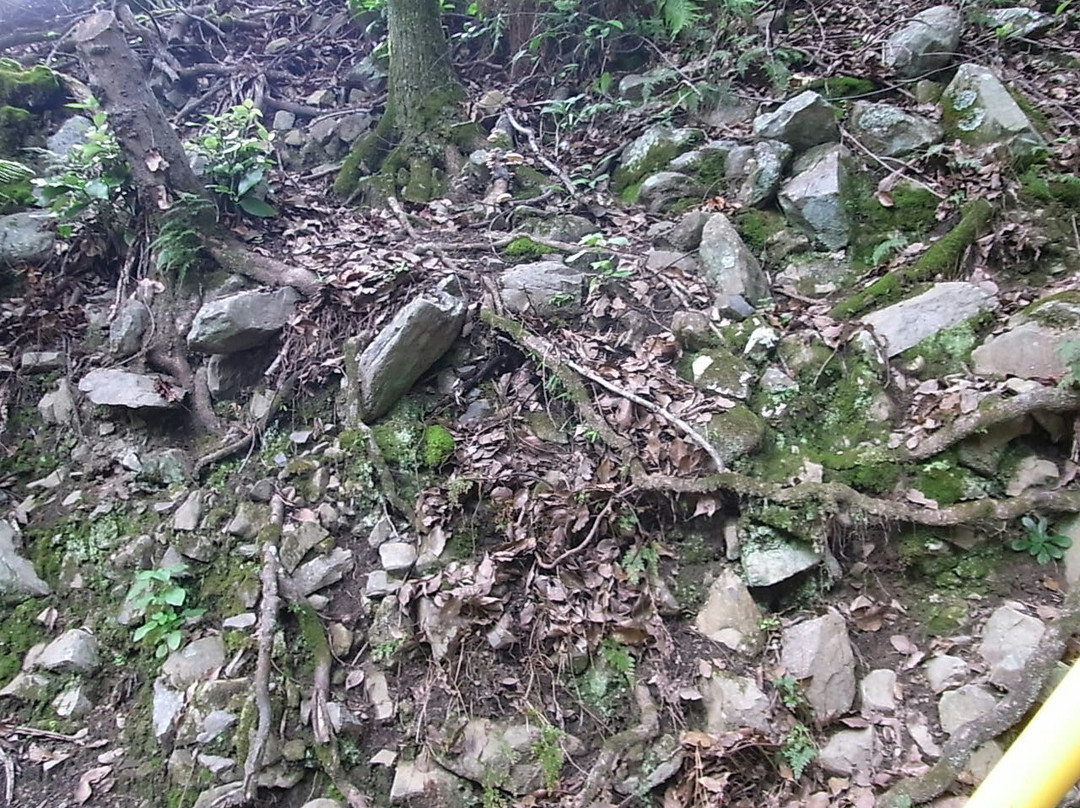 Kashima Park Viewing Platform-松山市必去景点