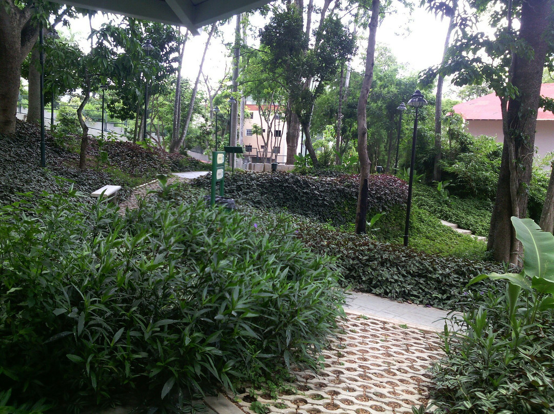 Villa Teola景点图片