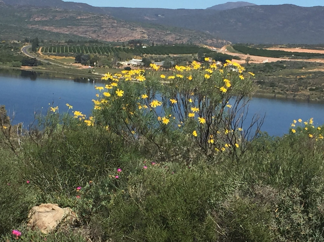 Namaqualand景点图片