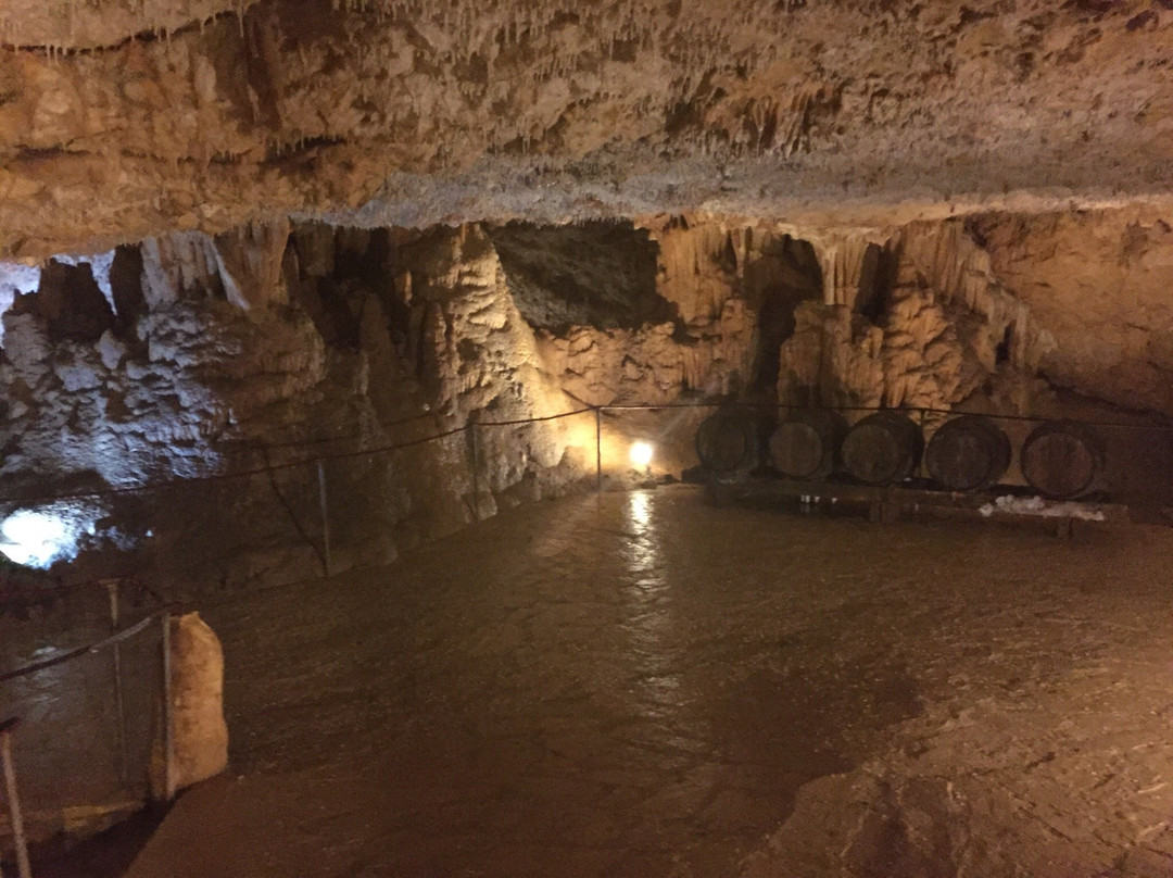 Mramornica Cave-Brtonigla必去景点