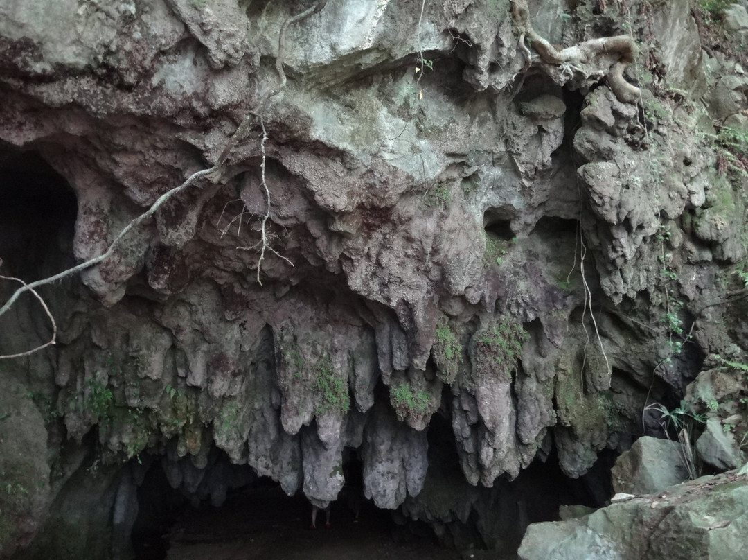 Sembutsu Limestone Cave景点图片