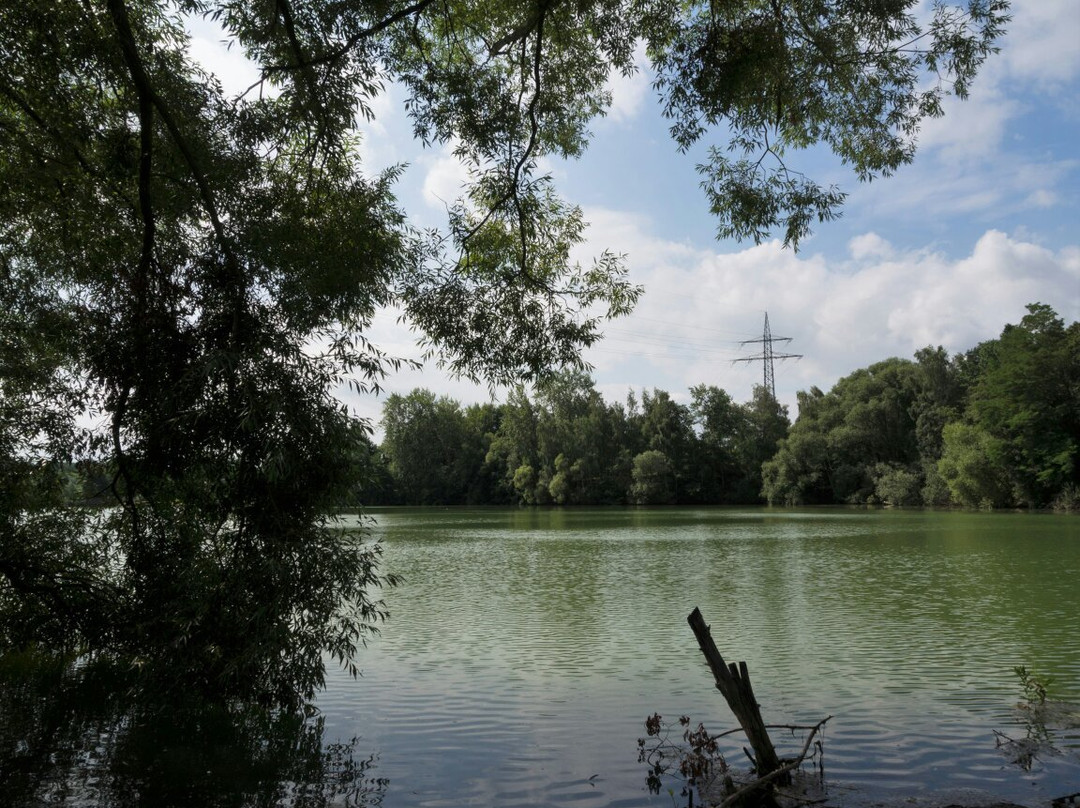 Heidbergpark-布伦瑞克必去景点