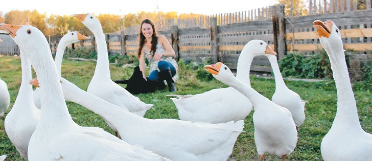 The Grazing Goose-Indian Head必去景点