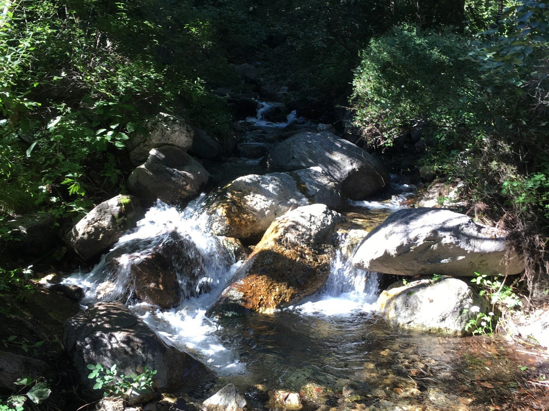 松山森林旅游区-北京市必去景点