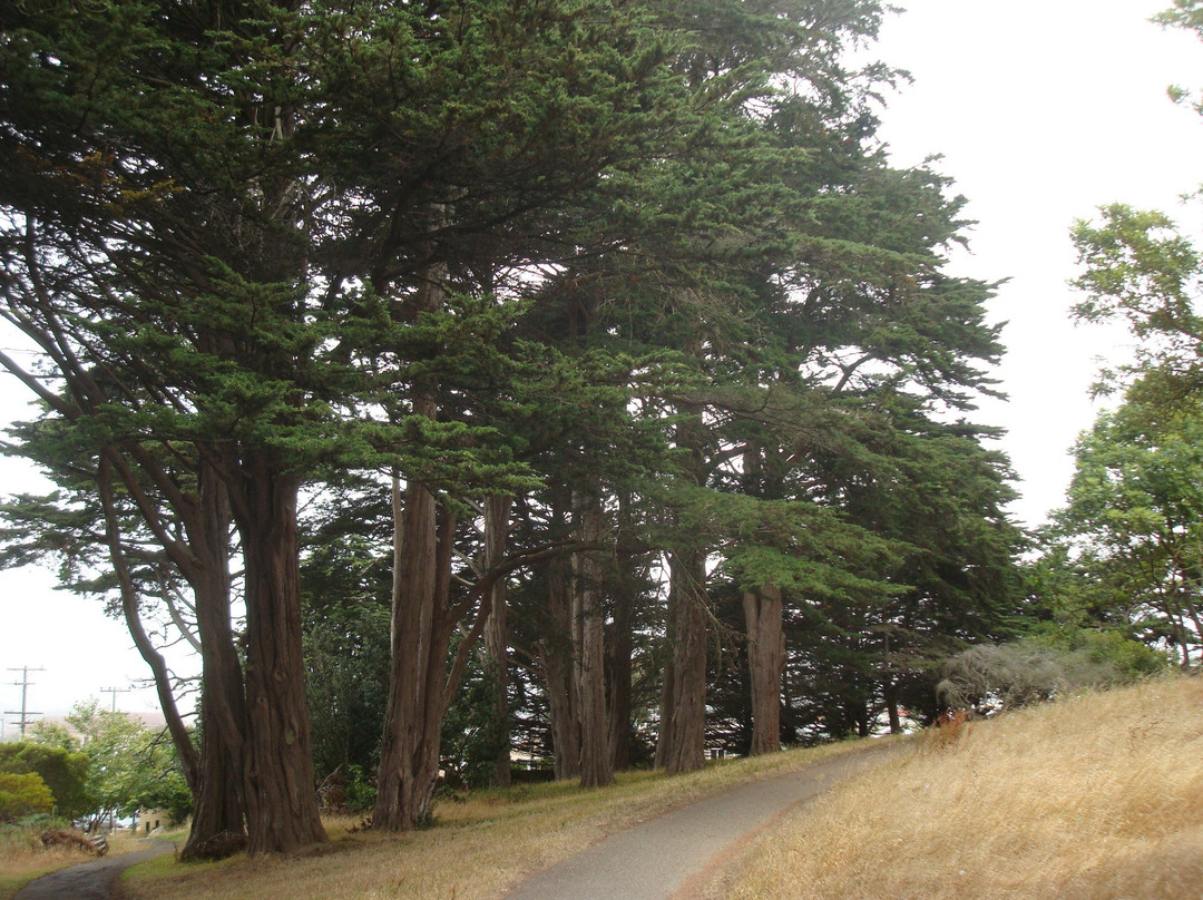 麦莱恩公园-旧金山必去景点