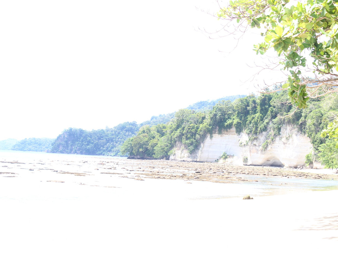 Pantai Pasir Putih Lembeh景点图片