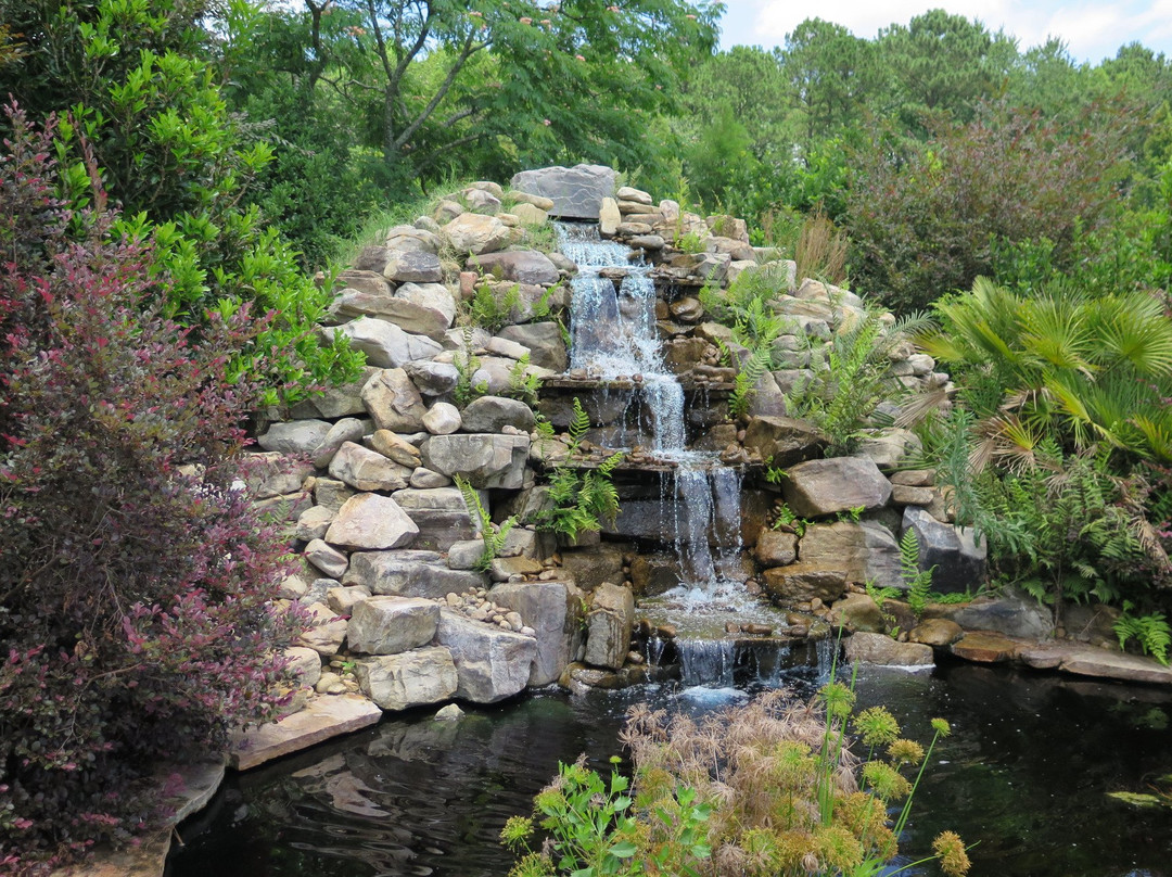 Coastal Georgia Botanical Gardens-萨凡纳必去景点
