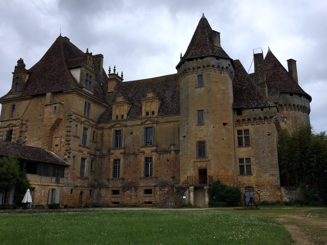 Chateau de Lanquais景点图片
