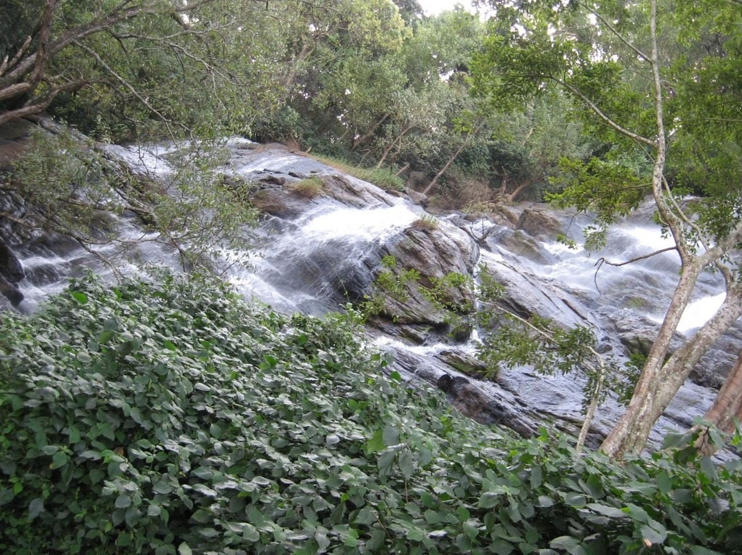 Kiliyur Falls景点图片