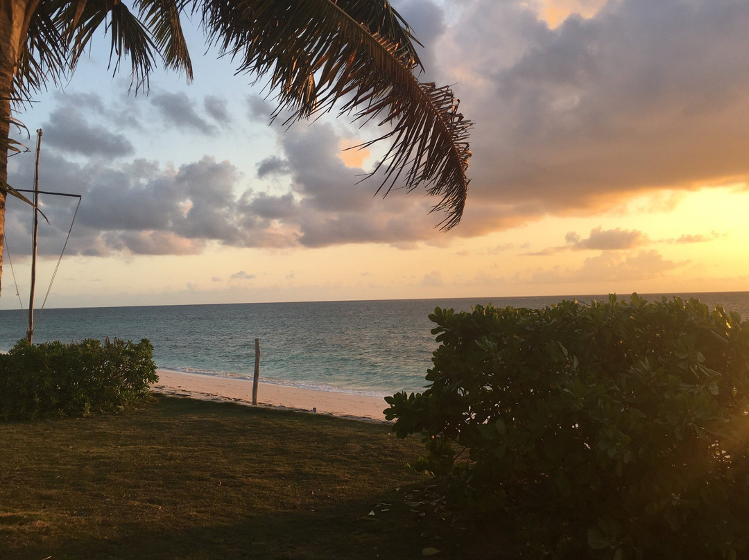 Andros Barrier Reef-Andros必去景点