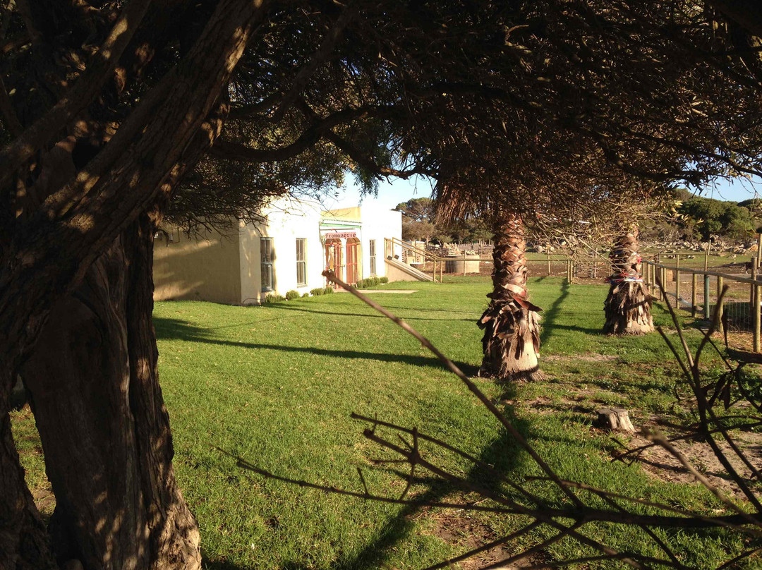 Pepe Charlot-Kommetjie必去景点