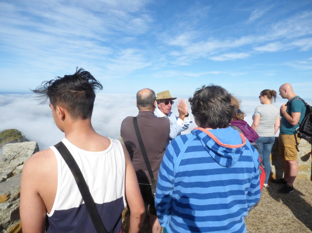 Cape Fun Tours-西门镇必去景点