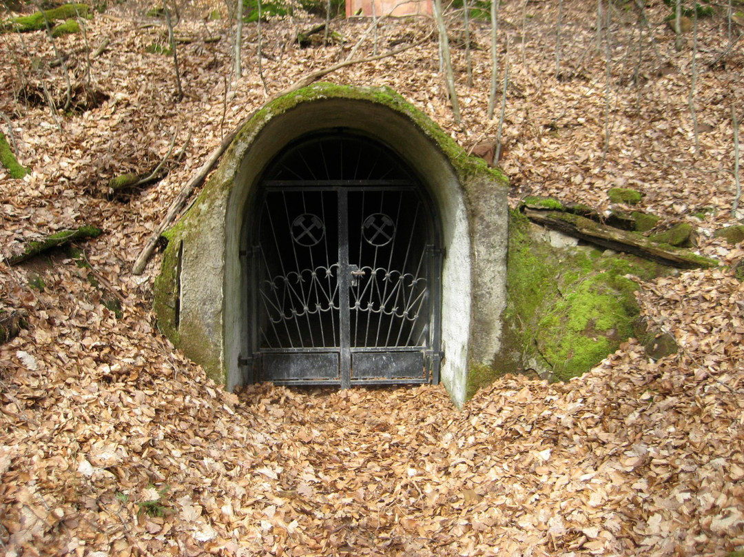 Nothweilerer Grenzgängerweg景点图片
