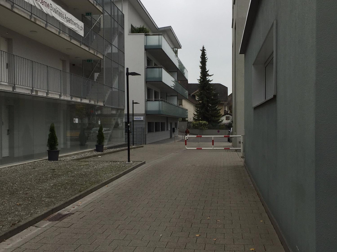 Lucerne Business Apartments Braui
