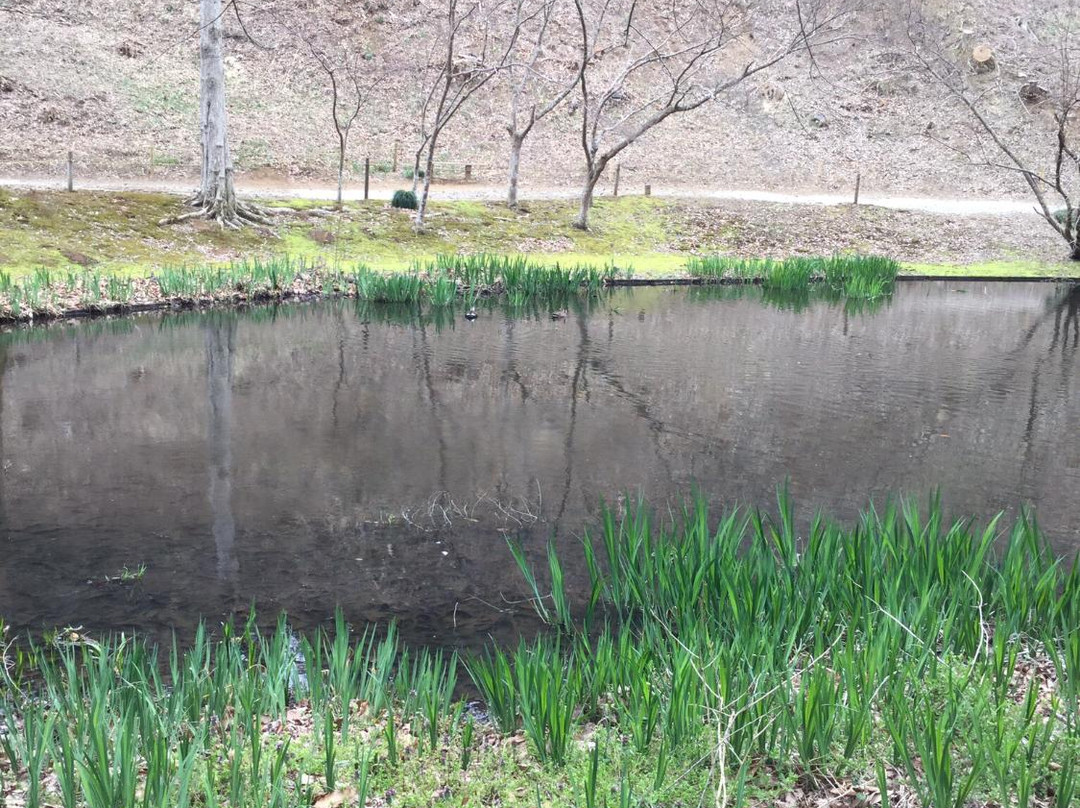 Izumi Nature Park Natural Boadwalk-千叶市必去景点