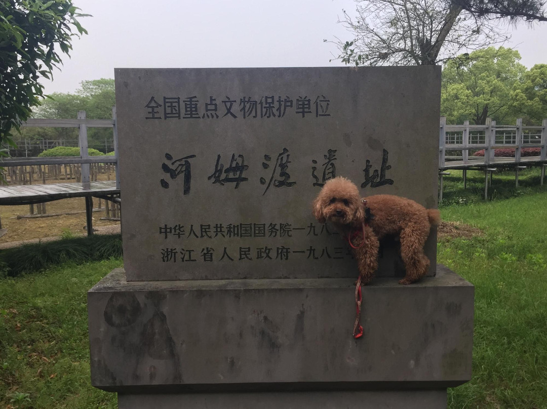 河姆渡遗址-余姚市必去景点