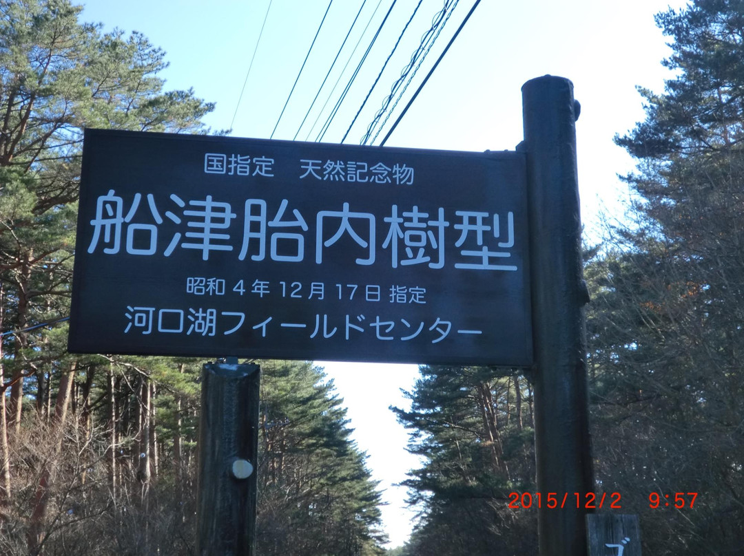 Funatsu Tainai Jugata Lava Tree Mold景点图片