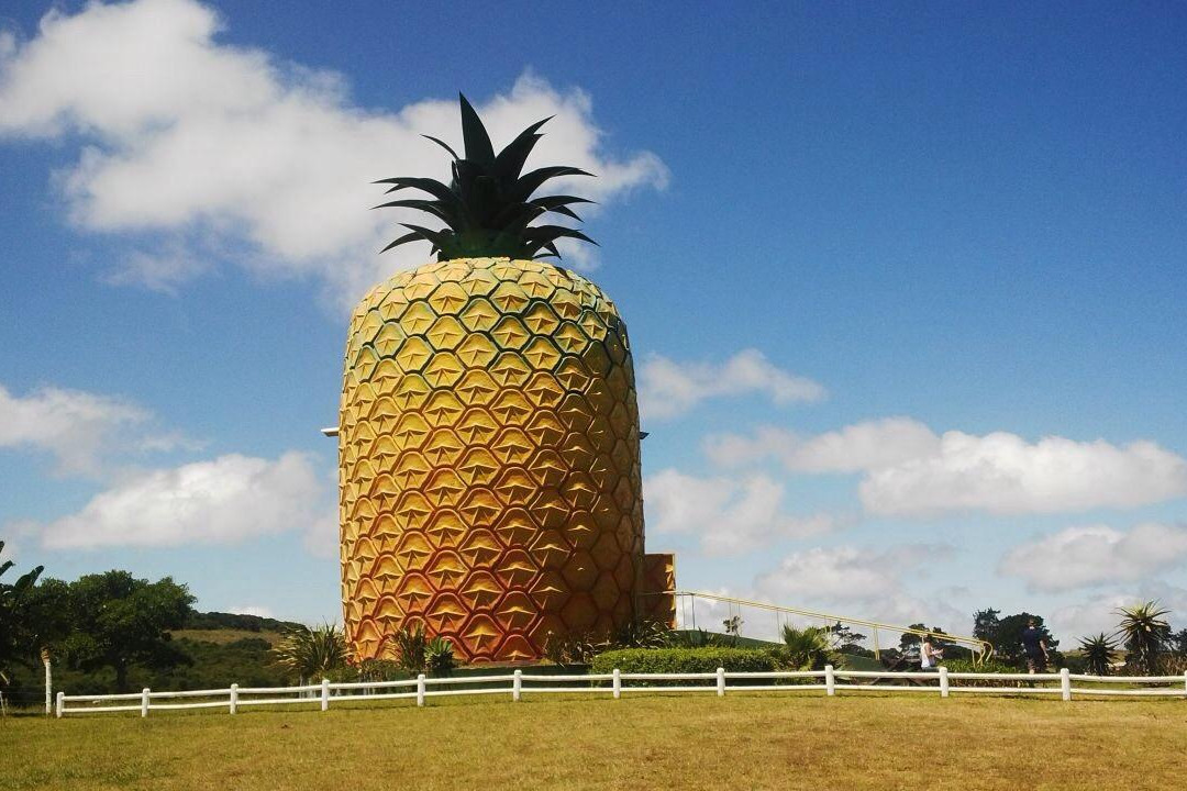 The Big Pineapple景点图片