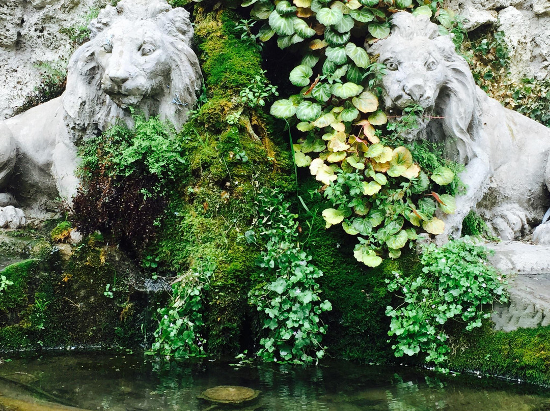 Fontana dei due Leoni景点图片