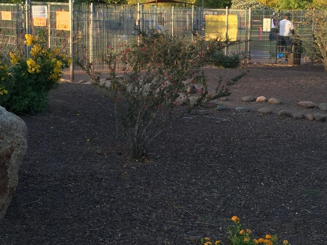 Chaparral Dog Park-斯科茨代尔必去景点