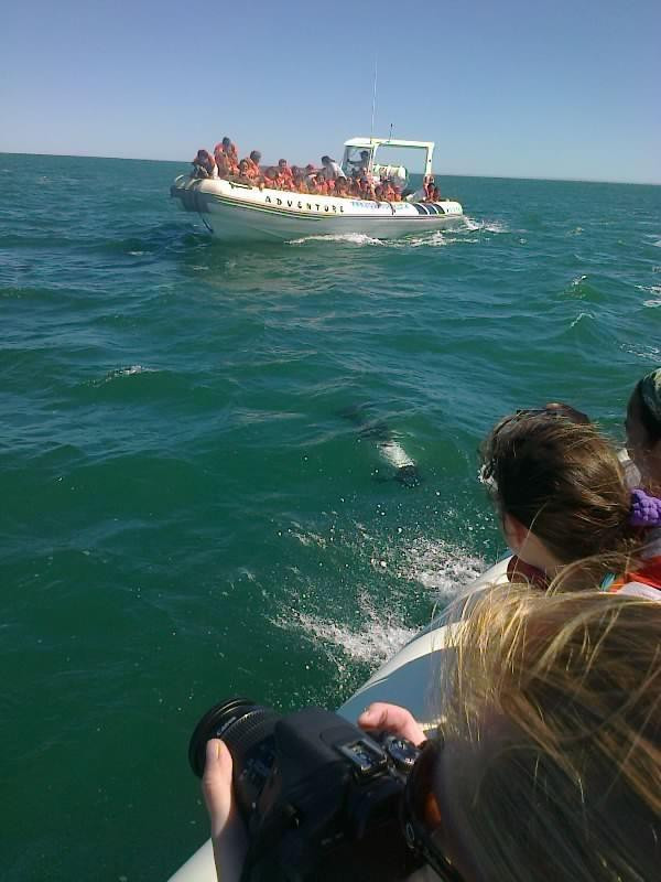 Toninas Adventure-Puerto Rawson必去景点