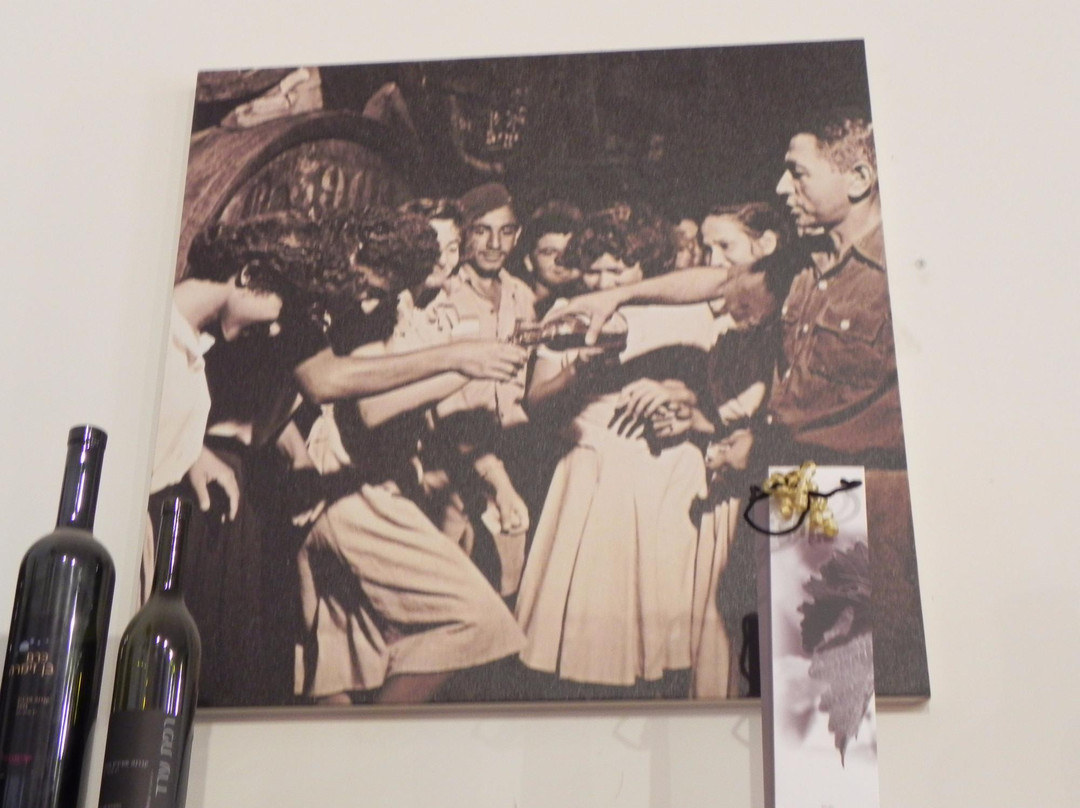 Carmel Winery-Zichron Yaakov必去景点