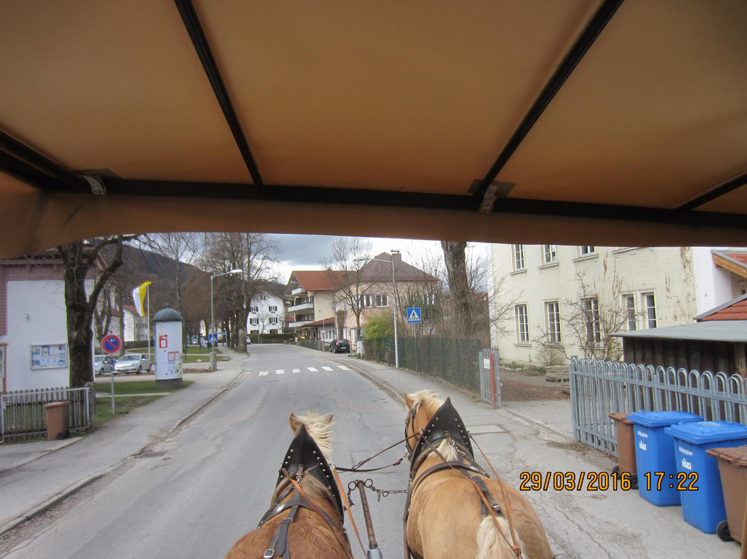 Hydroalpin Day Tours-Lenggries必去景点