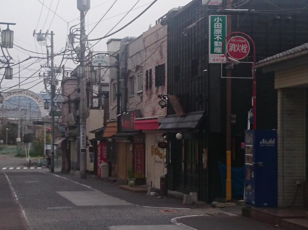 Miyako Ryokan主图