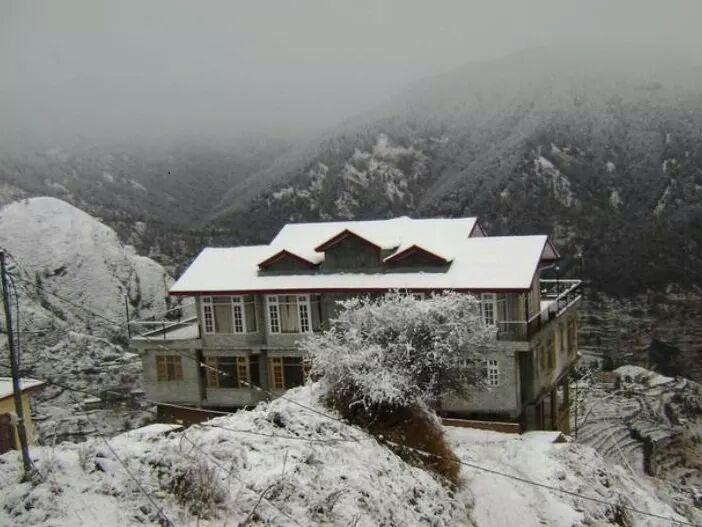 Forest Gaze at Misty Meadows East Home Stay主图