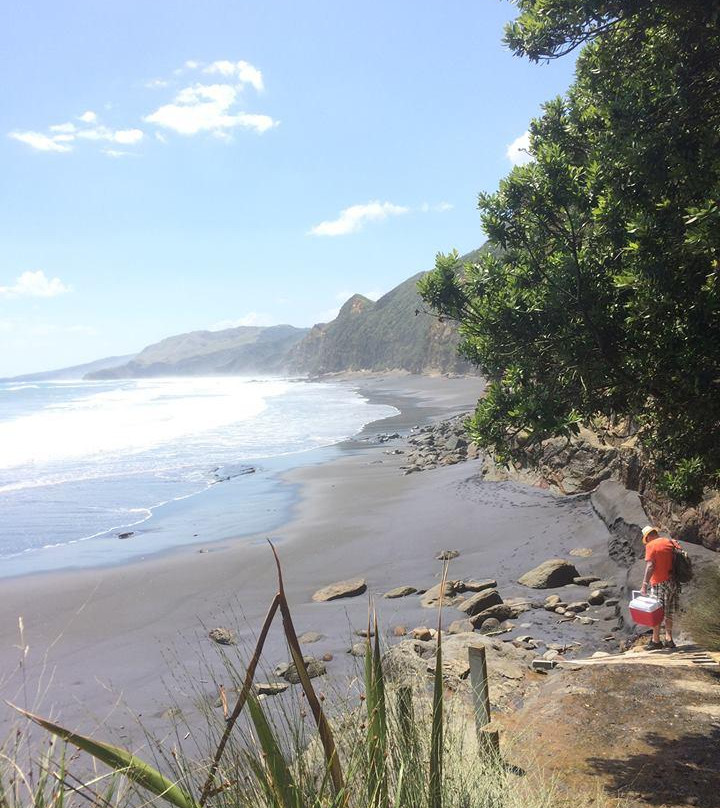 Waikawau Beach-Waikawau必去景点