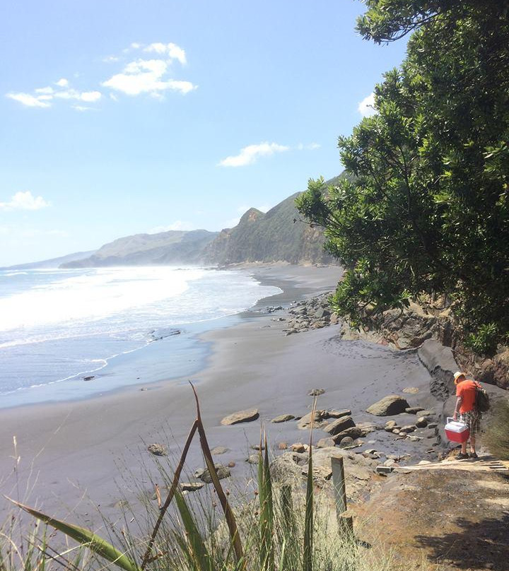 Waikawau Beach景点图片