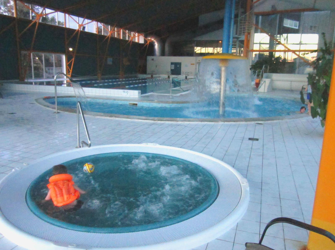 Spa Hotel Ruutli Water Park景点图片