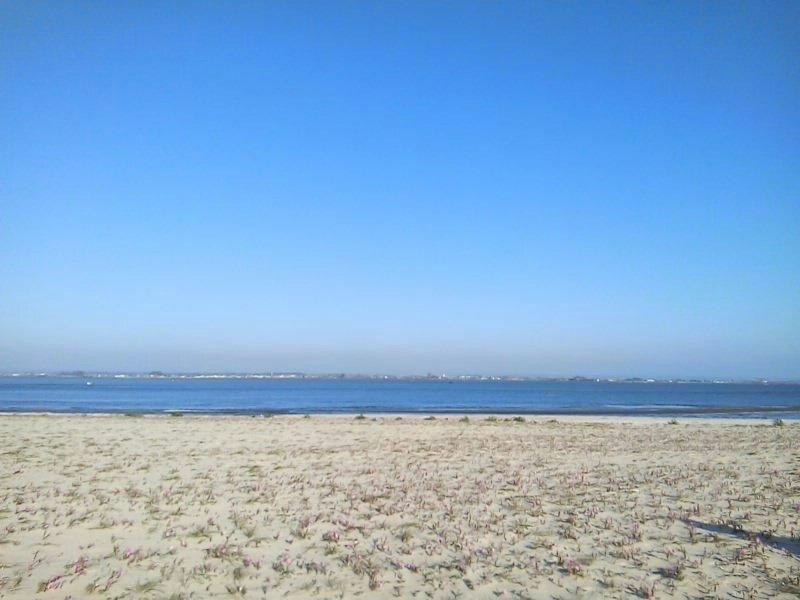 Praia do Monte Branco景点图片