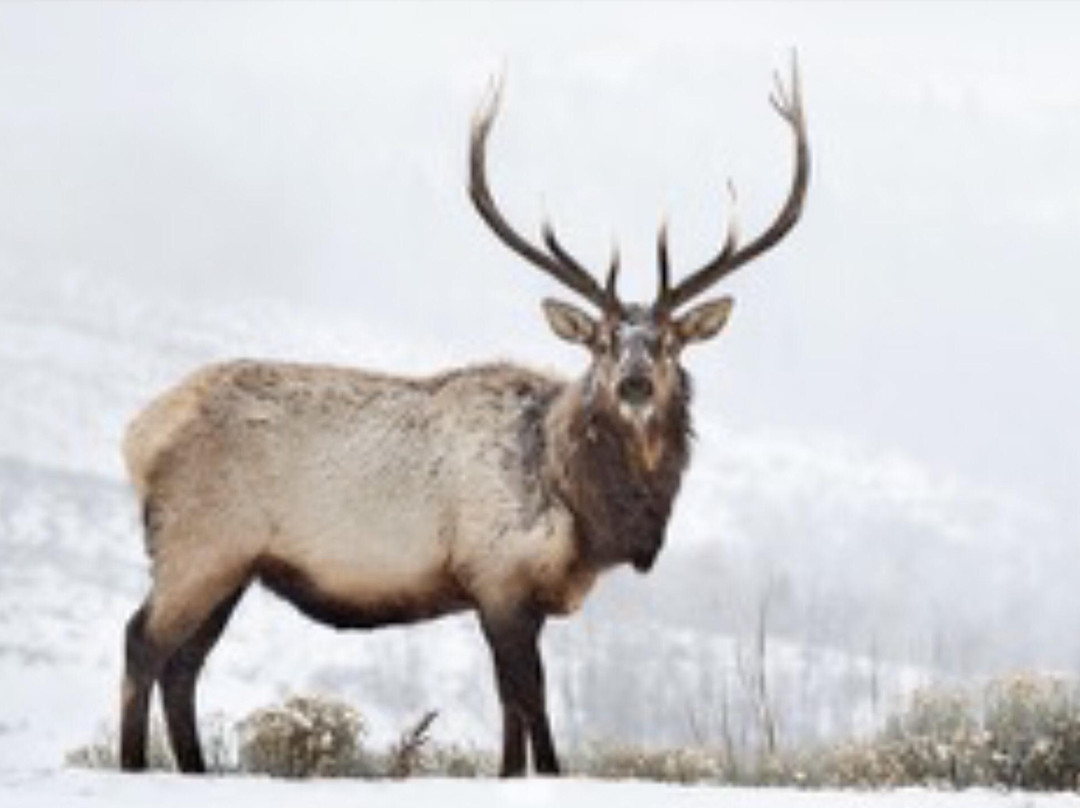 The Brookover Gallery-杰克逊必去景点